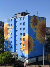 Sonnenblumen, Hochhaus, Wuppertal, Atelier Allgaier
